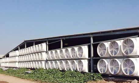 負壓風機通風降溫 負壓風機通風降溫